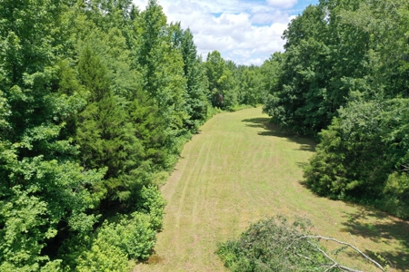 Luxury Home With Acreage For Sale in Waverly, Tennessee - image 3