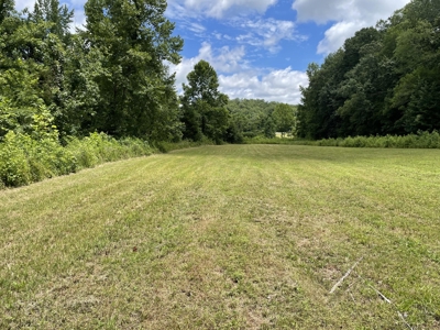 Luxury Home With Acreage For Sale in Waverly, Tennessee - image 9