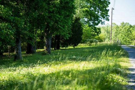 15.5 Acres of Natural Beauty at 5843 Bending Chestnut - image 20