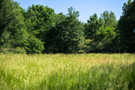 15.5 Acres of Natural Beauty at 5843 Bending Chestnut - image 24