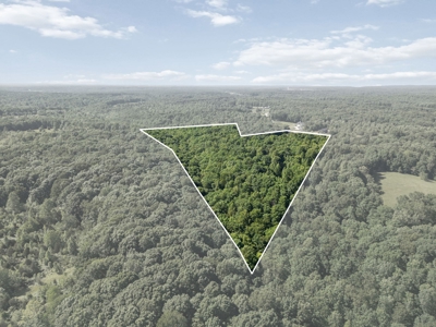 15.5 Acres of Natural Beauty at 5843 Bending Chestnut - image 8