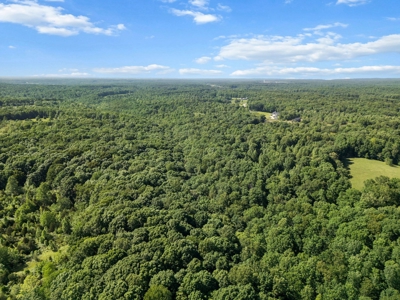 15.5 Acres of Natural Beauty at 5843 Bending Chestnut - image 9