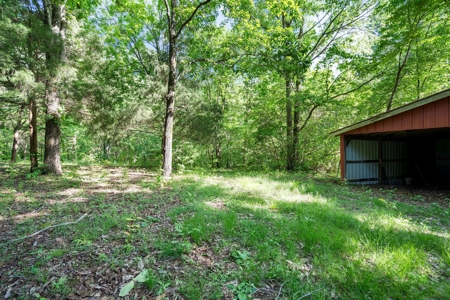 15.5 Acres of Natural Beauty at 5843 Bending Chestnut - image 31