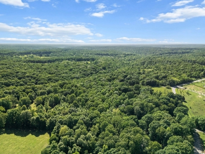 15.5 Acres of Natural Beauty at 5843 Bending Chestnut - image 6