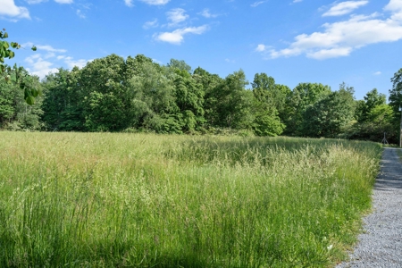 15.5 Acres of Natural Beauty at 5843 Bending Chestnut - image 34