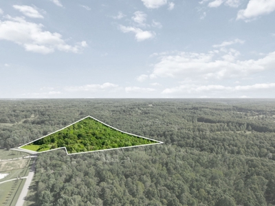 15.5 Acres of Natural Beauty at 5843 Bending Chestnut - image 12