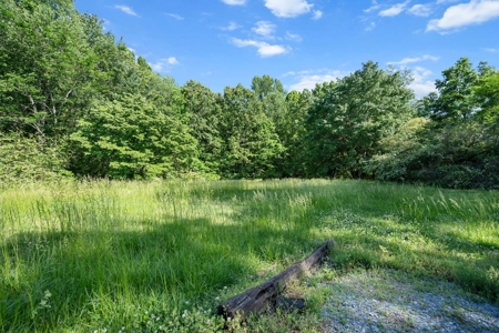 15.5 Acres of Natural Beauty at 5843 Bending Chestnut - image 30