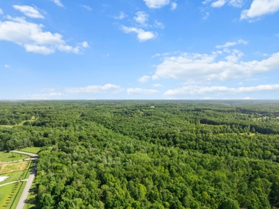 15.5 Acres of Natural Beauty at 5843 Bending Chestnut - image 13