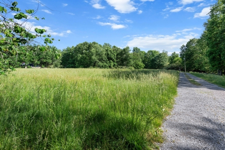15.5 Acres of Natural Beauty at 5843 Bending Chestnut - image 33
