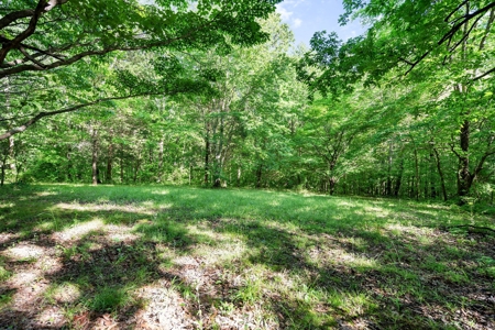 15.5 Acres of Natural Beauty at 5843 Bending Chestnut - image 32