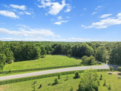 15.5 Acres of Natural Beauty at 5843 Bending Chestnut - image 10