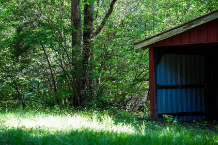 15.5 Acres of Natural Beauty at 5843 Bending Chestnut - image 28