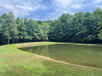 Wooded Land with Pond for Sale in Floyd VA - image 6