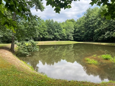 Wooded Land with Pond for Sale in Floyd VA - image 11