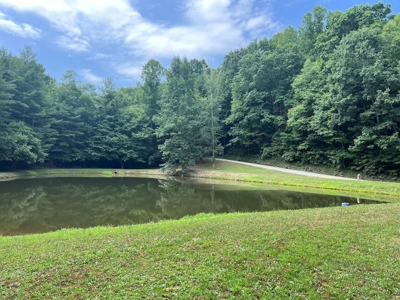 Wooded Land with Pond for Sale in Floyd VA - image 17