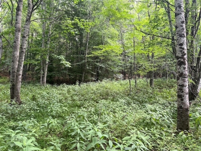 Wooded Land with Pond for Sale in Floyd VA - image 23