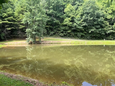 Wooded Land with Pond for Sale in Floyd VA - image 14