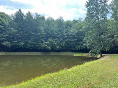 Wooded Land with Pond for Sale in Floyd VA - image 5