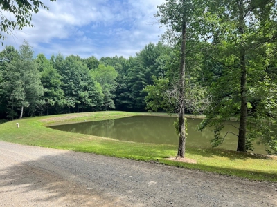 Wooded Land with Pond for Sale in Floyd VA - image 7