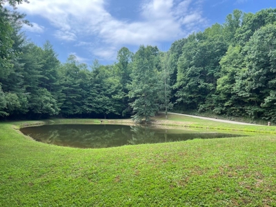 Wooded Land with Pond for Sale in Floyd VA - image 16