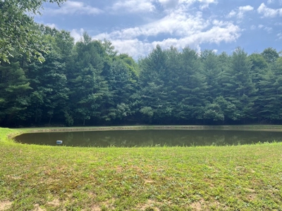 Wooded Land with Pond for Sale in Floyd VA - image 4