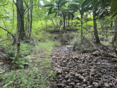 Wooded Land with Pond for Sale in Floyd VA - image 21