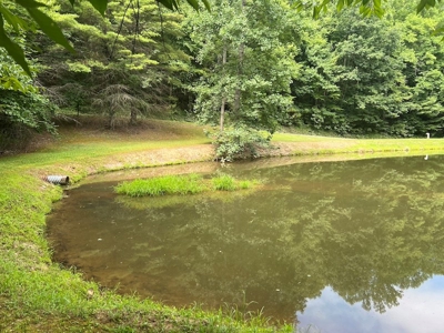 Wooded Land with Pond for Sale in Floyd VA - image 12