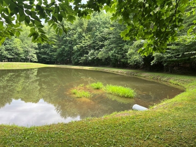 Wooded Land with Pond for Sale in Floyd VA - image 10