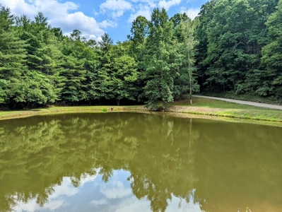 Wooded Land with Pond for Sale in Floyd VA - image 1