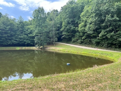 Wooded Land with Pond for Sale in Floyd VA - image 18