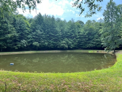 Wooded Land with Pond for Sale in Floyd VA - image 3