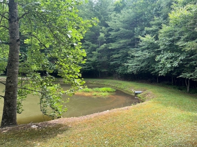 Wooded Land with Pond for Sale in Floyd VA - image 8