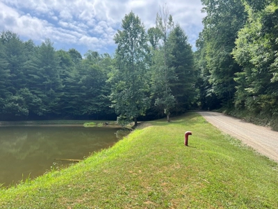 Wooded Land with Pond for Sale in Floyd VA - image 19