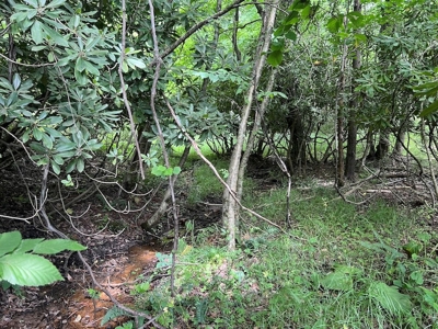 Wooded Land with Pond for Sale in Floyd VA - image 20