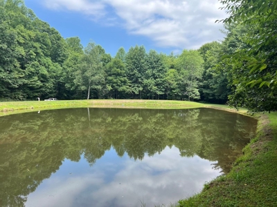 Wooded Land with Pond for Sale in Floyd VA - image 13