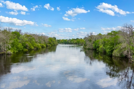 Suwannee River Acreage - Riverfront Property! Old Town, Fl! - image 16