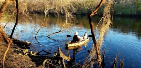 Suwannee River Acreage - Riverfront Property! Old Town, Fl! - image 2