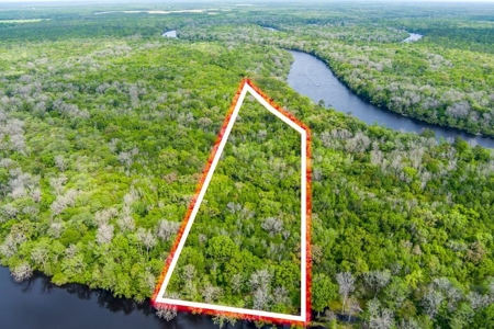 Suwannee River Acreage - Riverfront Property! Old Town, Fl! - image 1