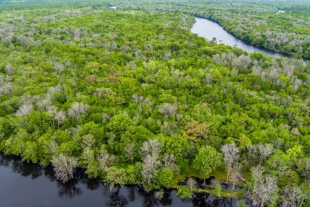 Suwannee River Acreage - Riverfront Property! Old Town, Fl! - image 14