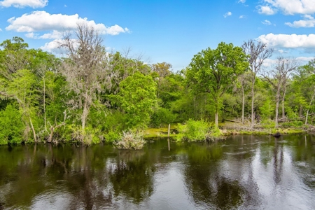 Suwannee River Acreage - Riverfront Property! Old Town, Fl! - image 13