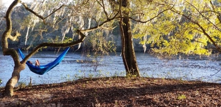 Suwannee River Acreage - Riverfront Property! Old Town, Fl! - image 3