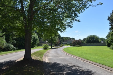 Level Subdivision Building Lot Near Blue Oval City Tennessee - image 2