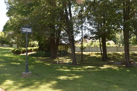 Level Subdivision Building Lot Near Blue Oval City Tennessee - image 8