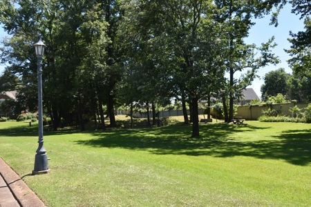 Level Subdivision Building Lot Near Blue Oval City Tennessee - image 9