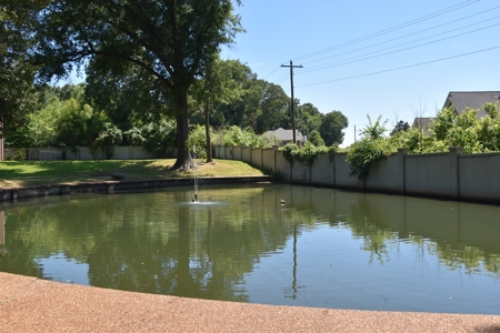 Level Subdivision Building Lot Near Blue Oval City Tennessee - image 7