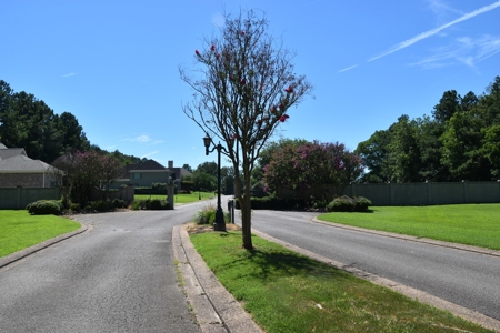 Level Subdivision Building Lot Near Blue Oval City Tennessee - image 4