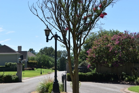 Level Subdivision Building Lot Near Blue Oval City Tennessee - image 3