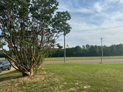 Land For Sale On Hwy Adamsville Tn Commercial - image 16