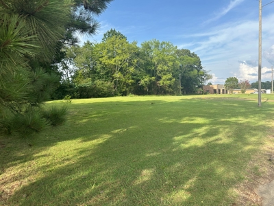 Land For Sale On Hwy Adamsville Tn Commercial - image 21
