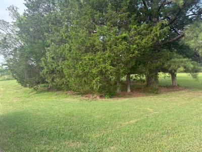 Land For Sale On Hwy Adamsville Tn Commercial - image 6